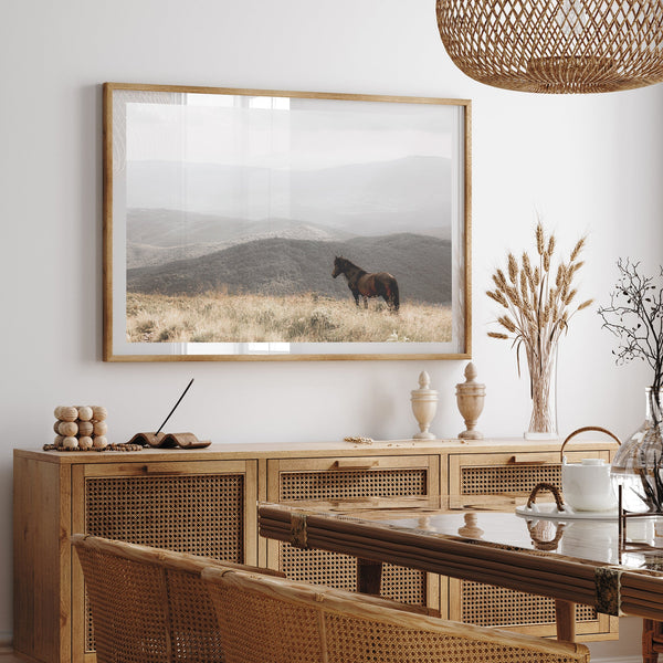 Open Range - Shutter and Frame