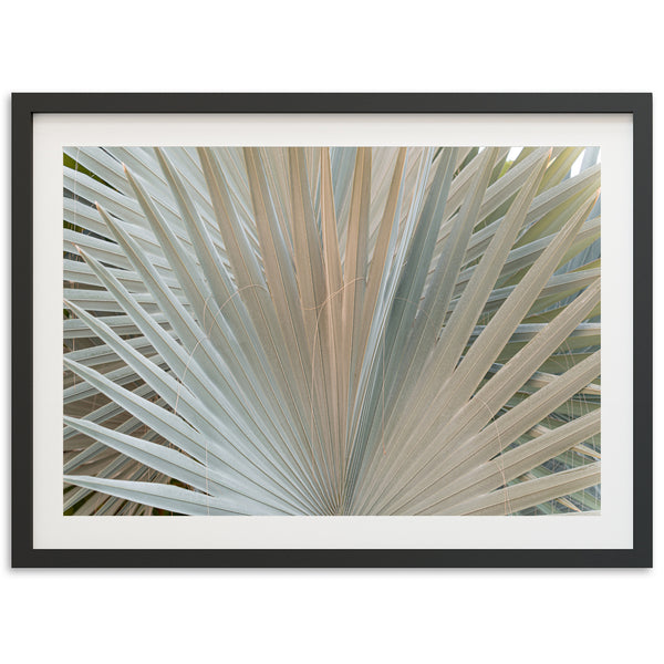 Gold & Green - Shutter and Frame