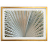 Gold & Green - Shutter and Frame