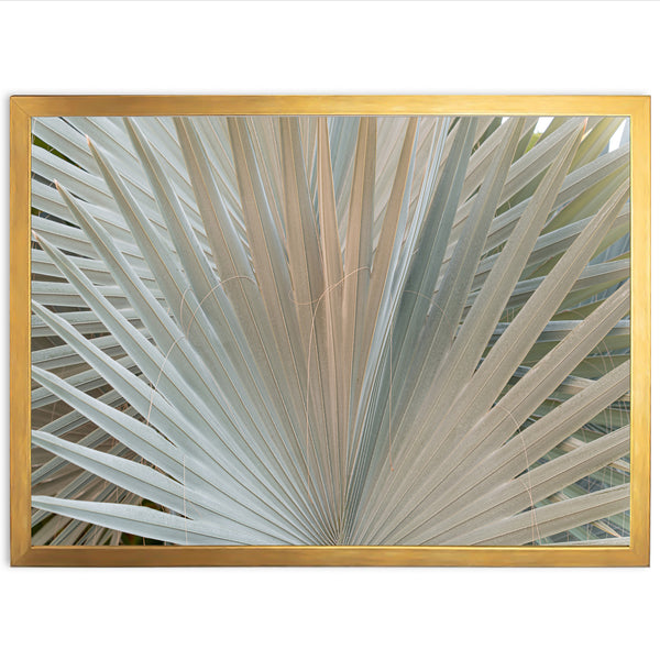 Gold & Green - Shutter and Frame