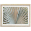 Gold & Green - Shutter and Frame