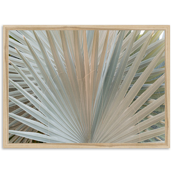 Gold & Green - Shutter and Frame