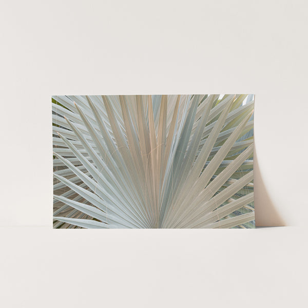 Gold & Green - Shutter and Frame
