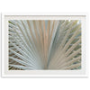 Gold & Green - Shutter and Frame