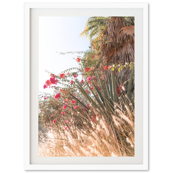 Acre - Shutter and Frame