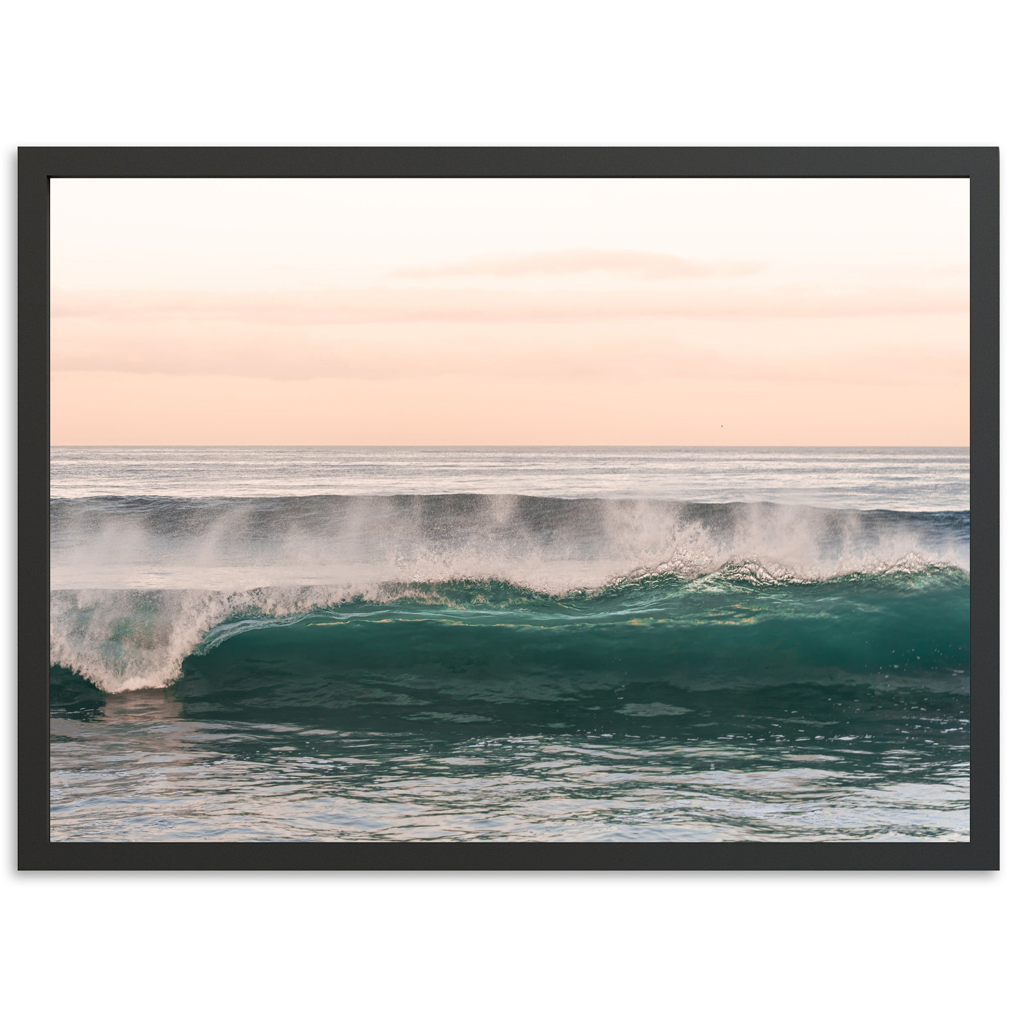 Sea Monster - Shutter and Frame