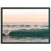 Sea Monster - Shutter and Frame
