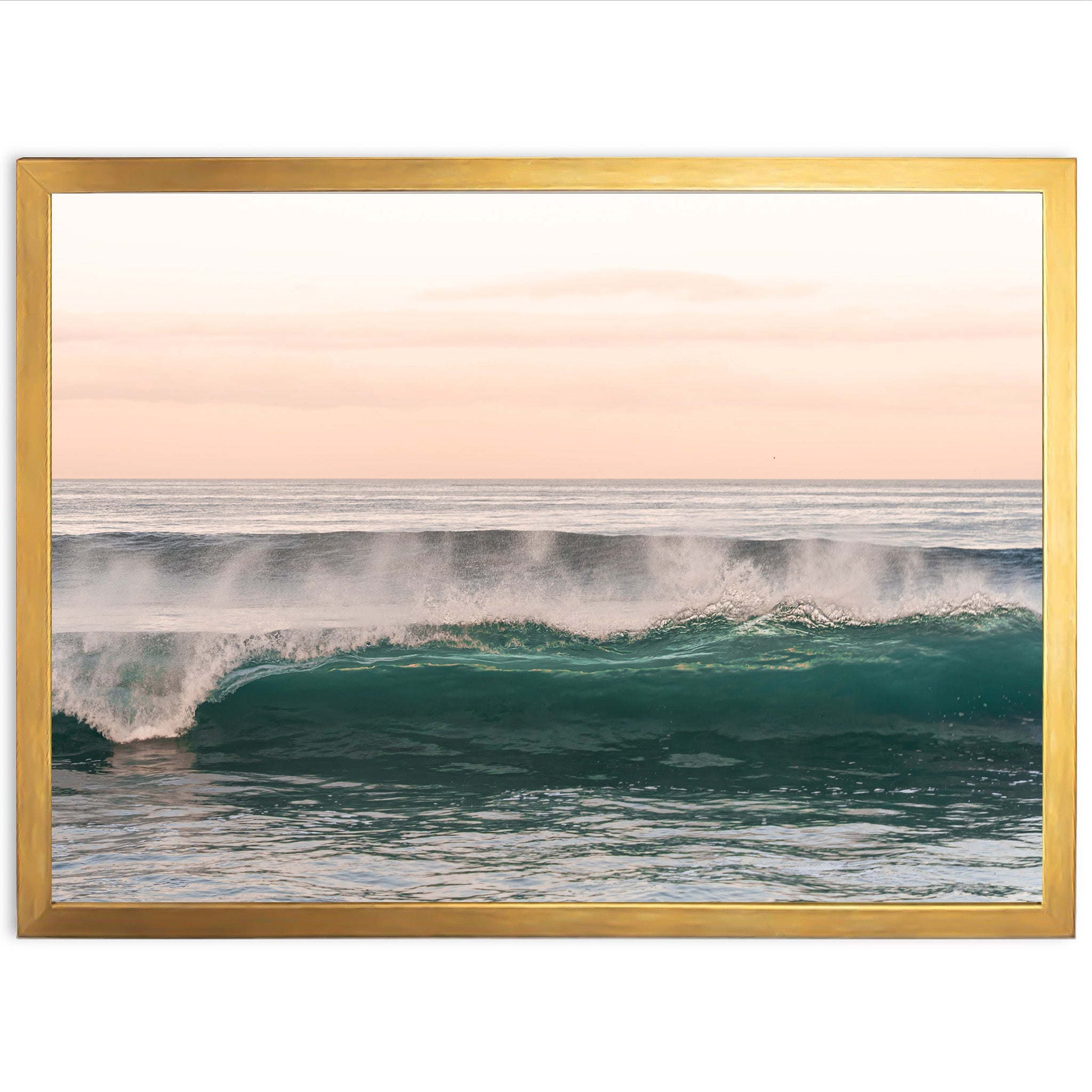 Sea Monster - Shutter and Frame