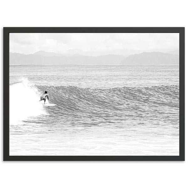 La Bomba - Shutter and Frame