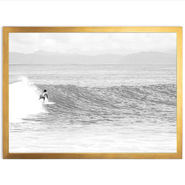 La Bomba - Shutter and Frame