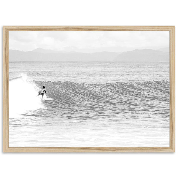 La Bomba - Shutter and Frame