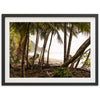Wild Costa - Shutter and Frame