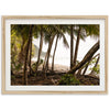 Wild Costa - Shutter and Frame