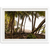 Wild Costa - Shutter and Frame