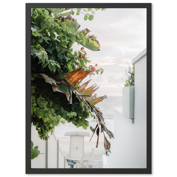 By the Sea - Shutter and Frame