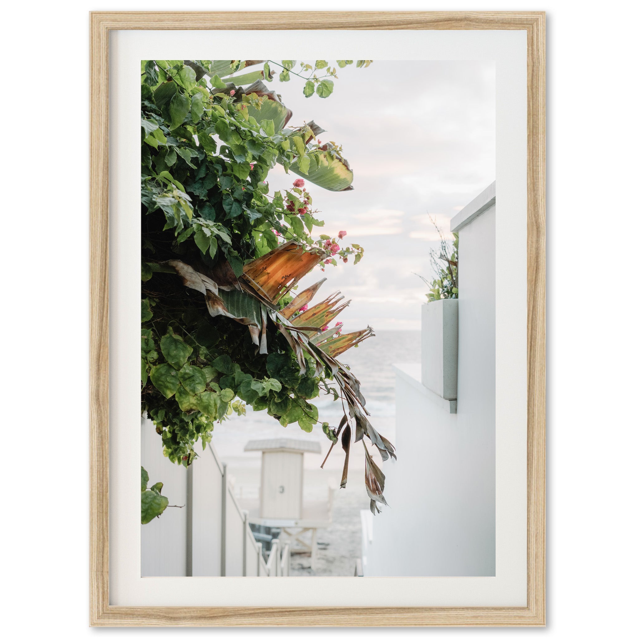 By the Sea - Shutter and Frame