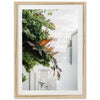 By the Sea - Shutter and Frame