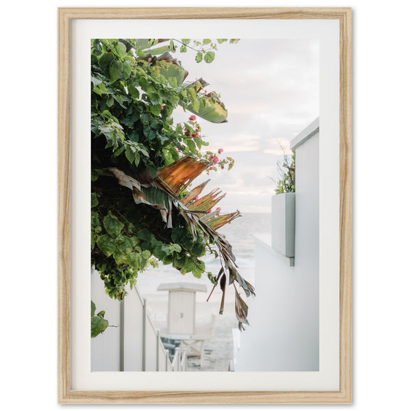 By the Sea - Shutter and Frame