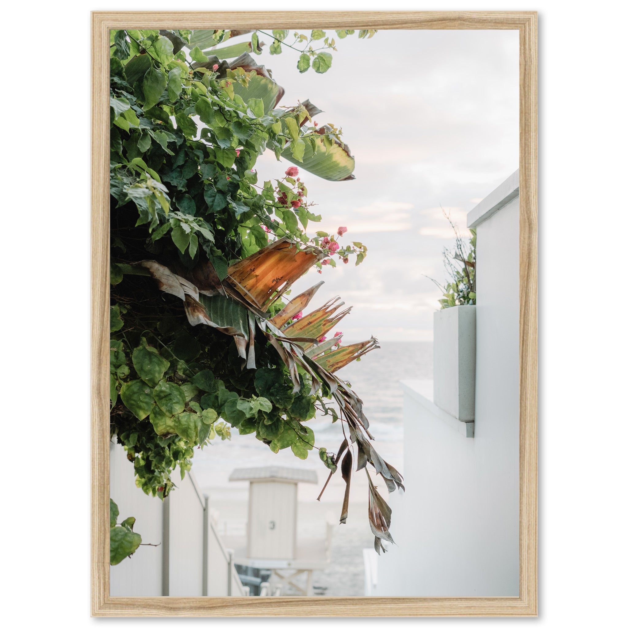 By the Sea - Shutter and Frame