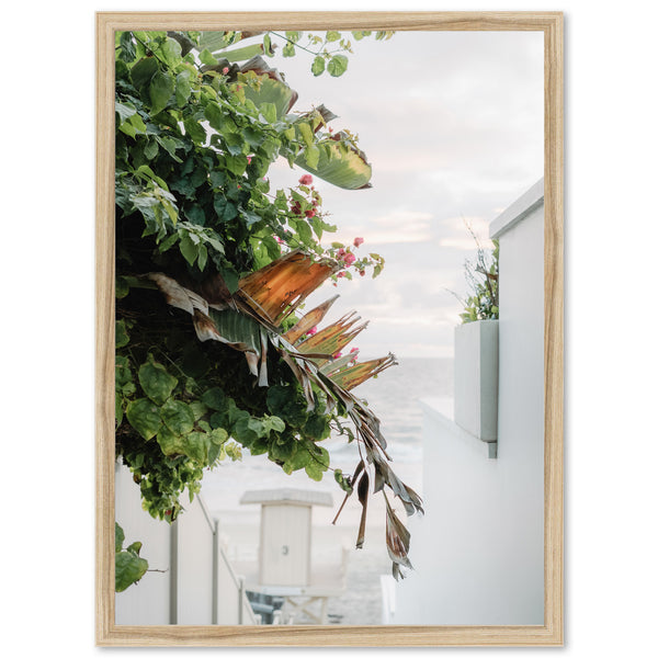 By the Sea - Shutter and Frame