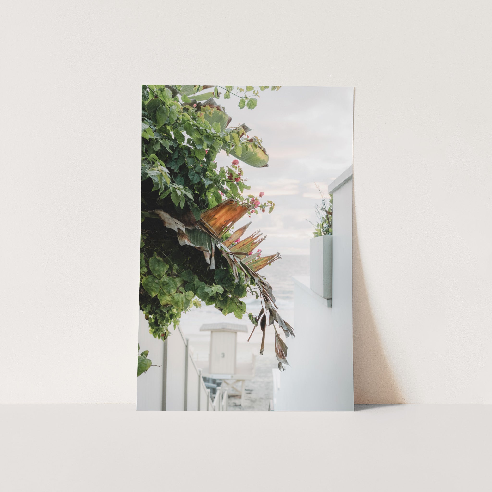 By the Sea - Shutter and Frame