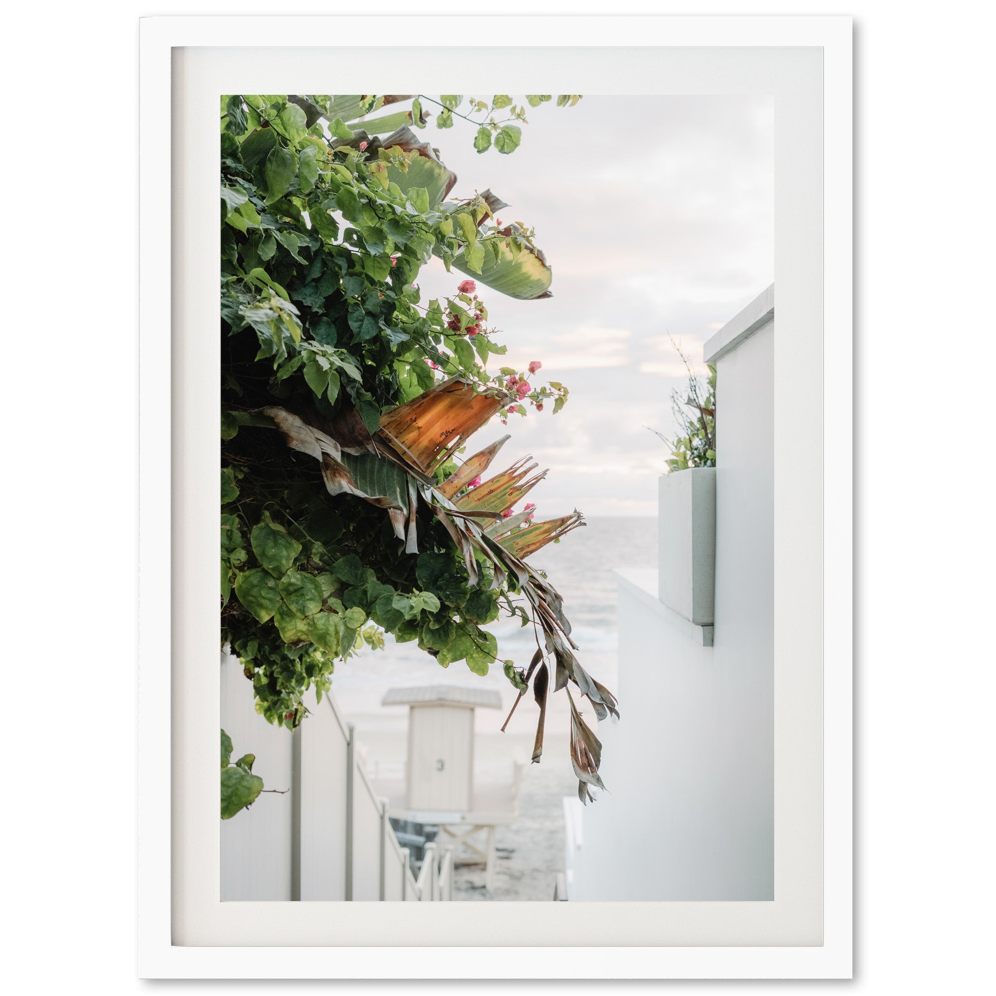 By the Sea - Shutter and Frame