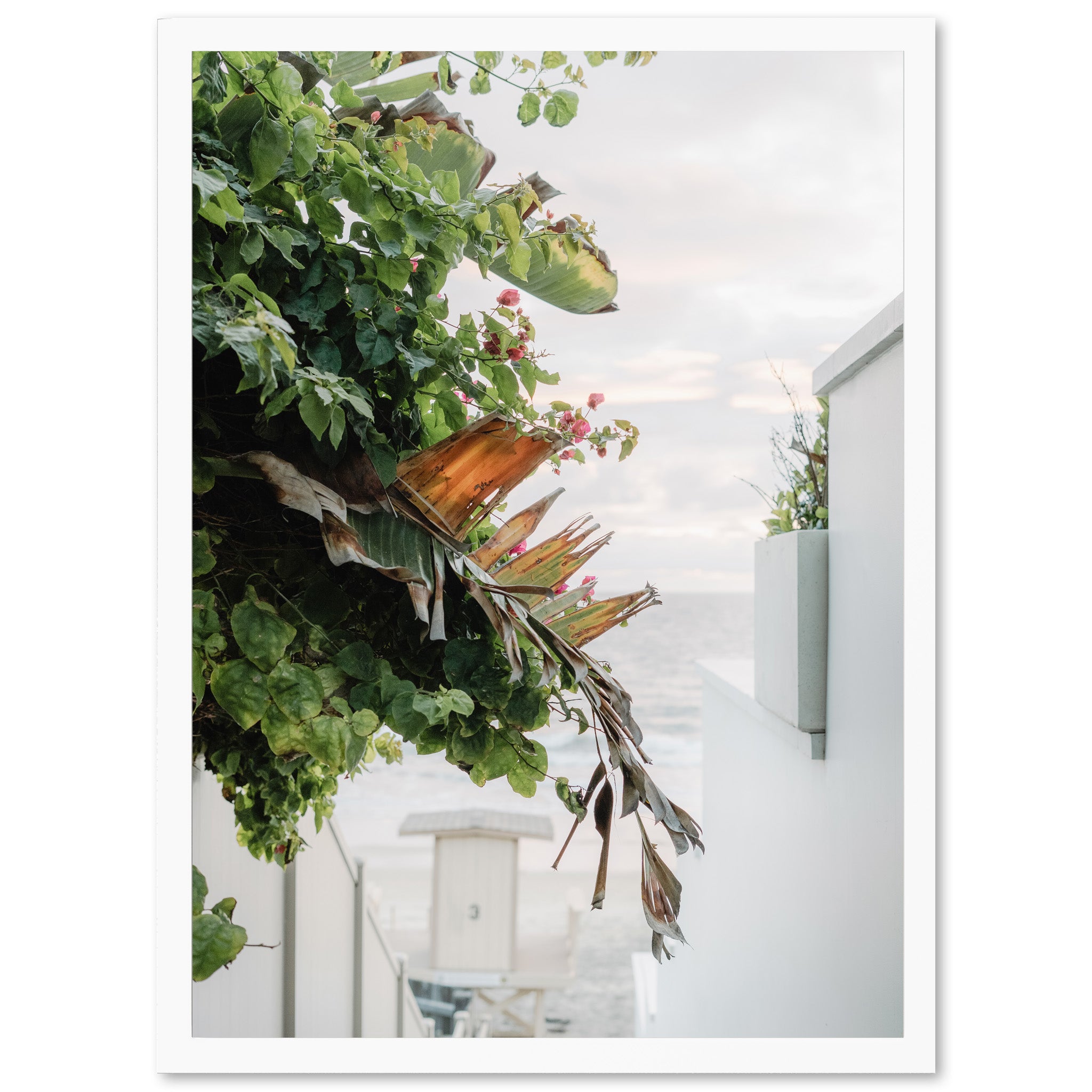By the Sea - Shutter and Frame
