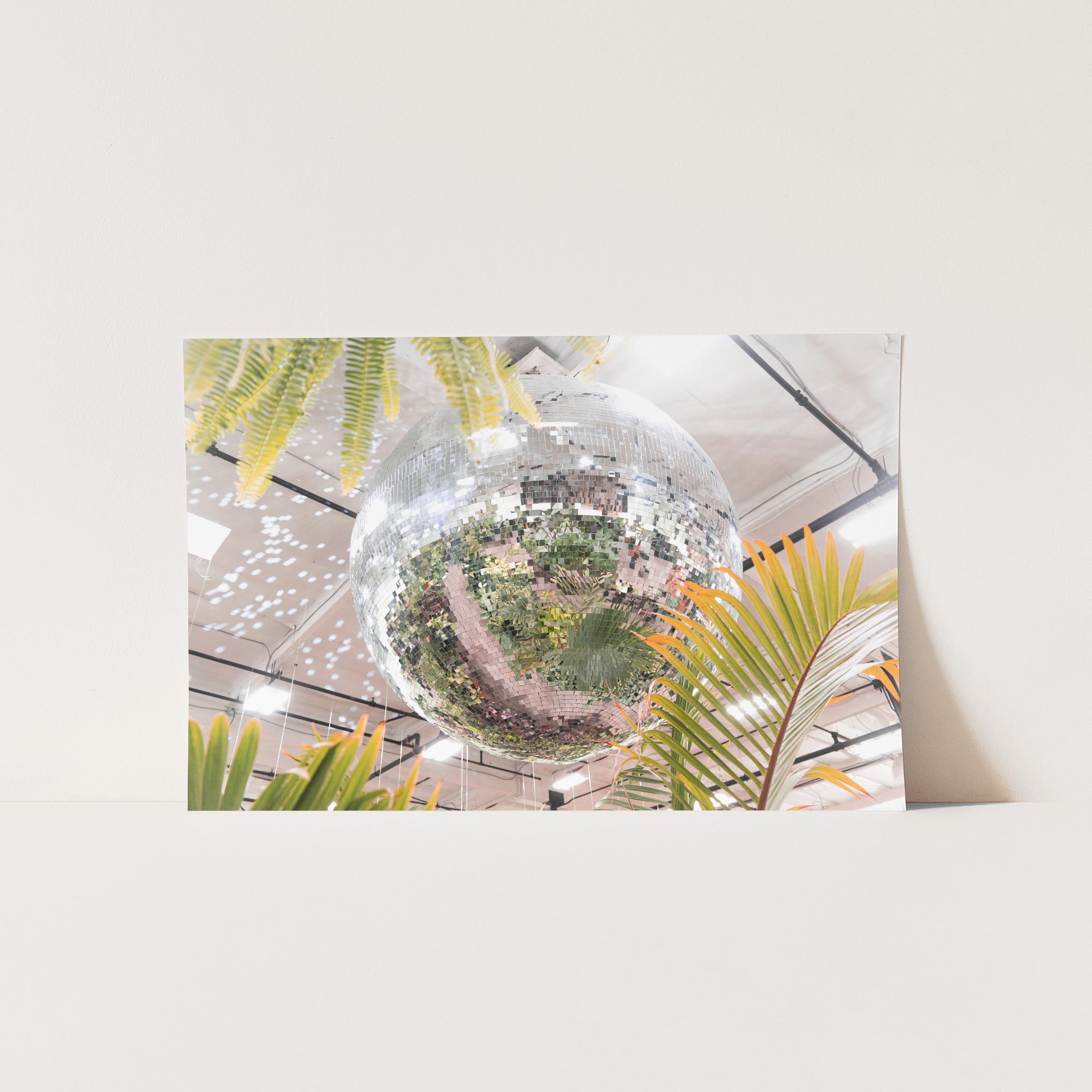Plant Disco