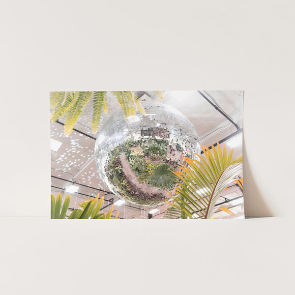 Plant Disco