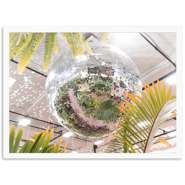 Plant Disco