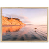 Shorebird
