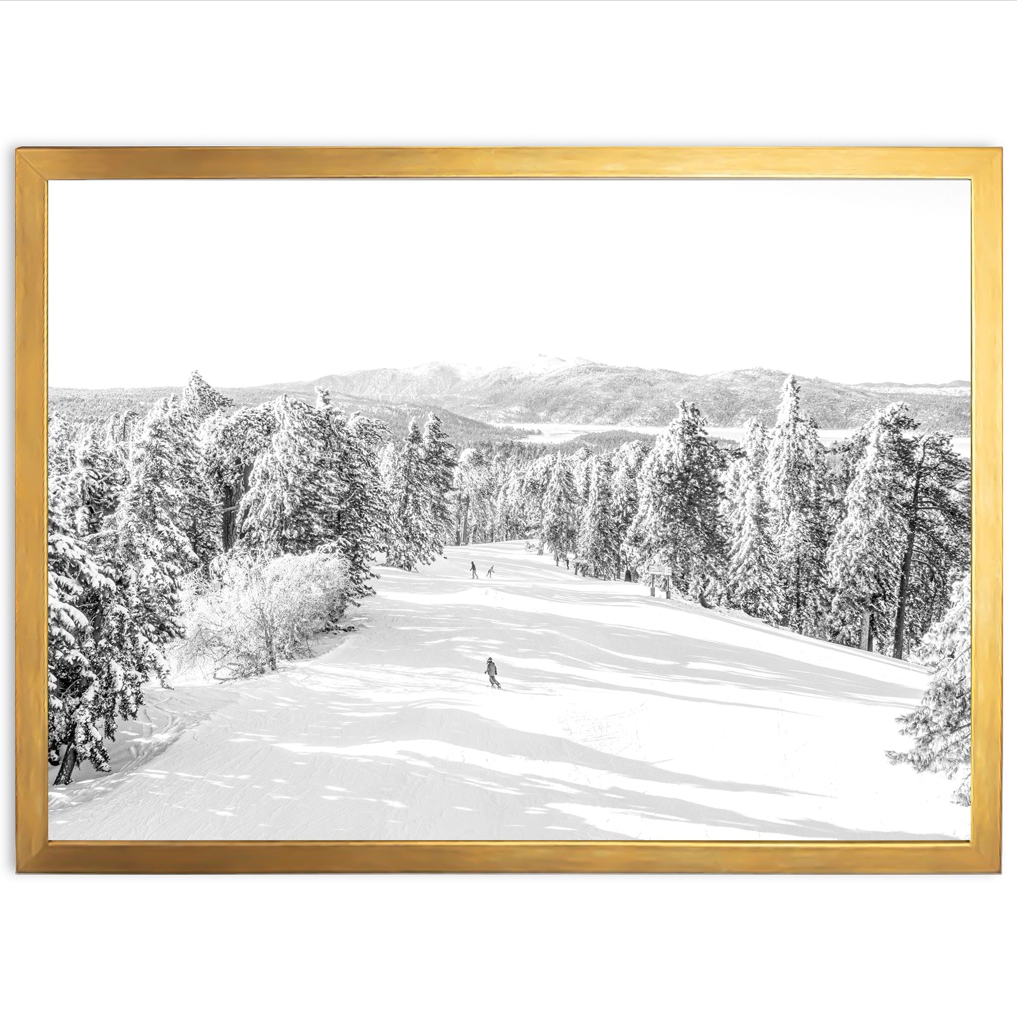 Snow Day II - Shutter and Frame