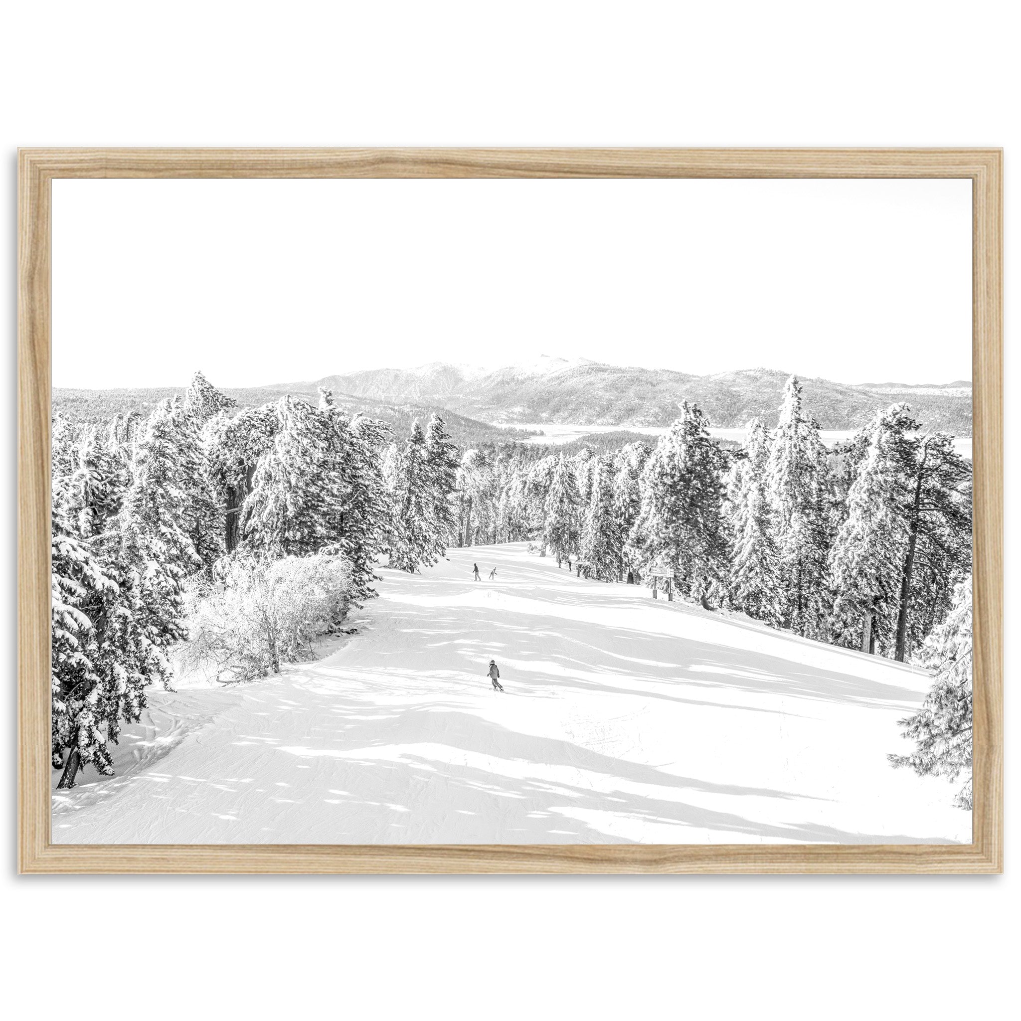 Snow Day II - Shutter and Frame
