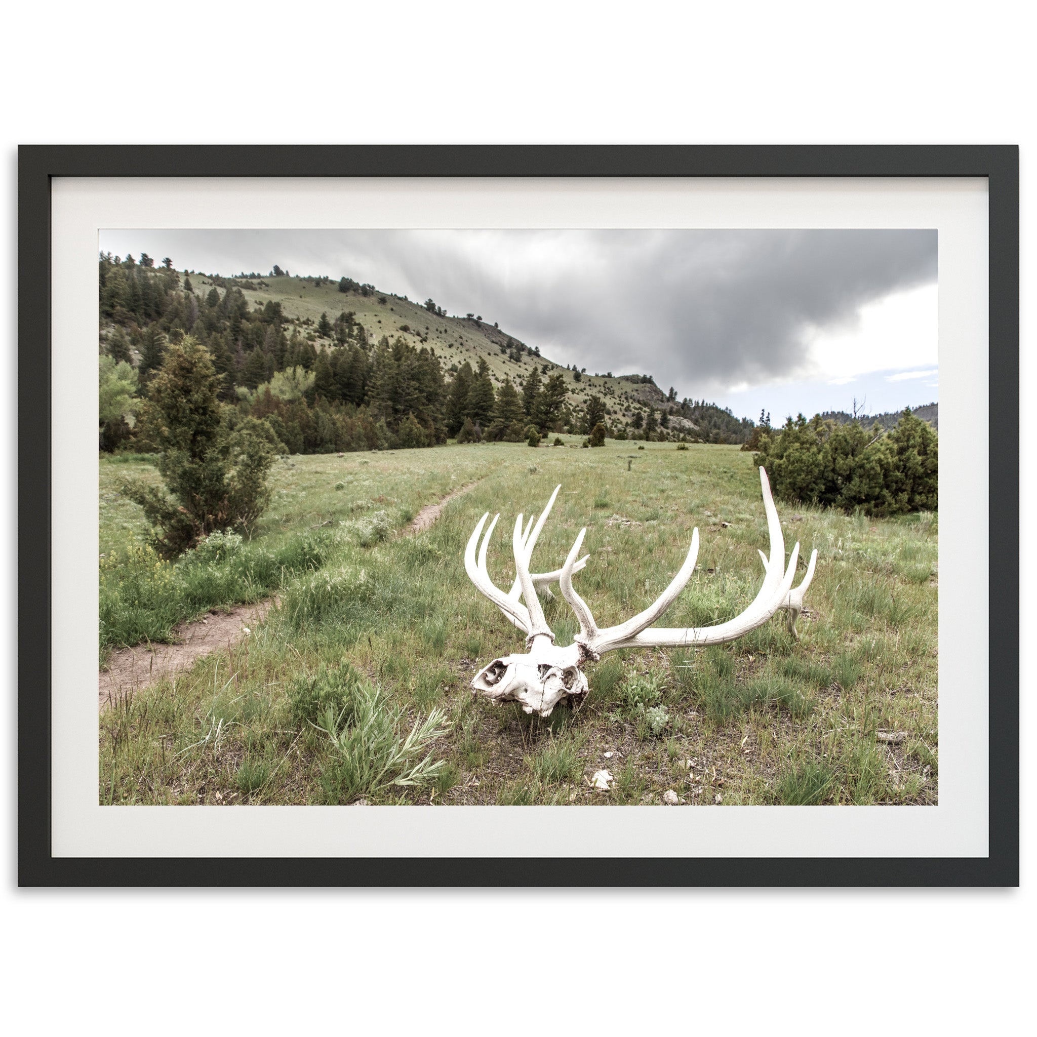 Frontier - Shutter and Frame