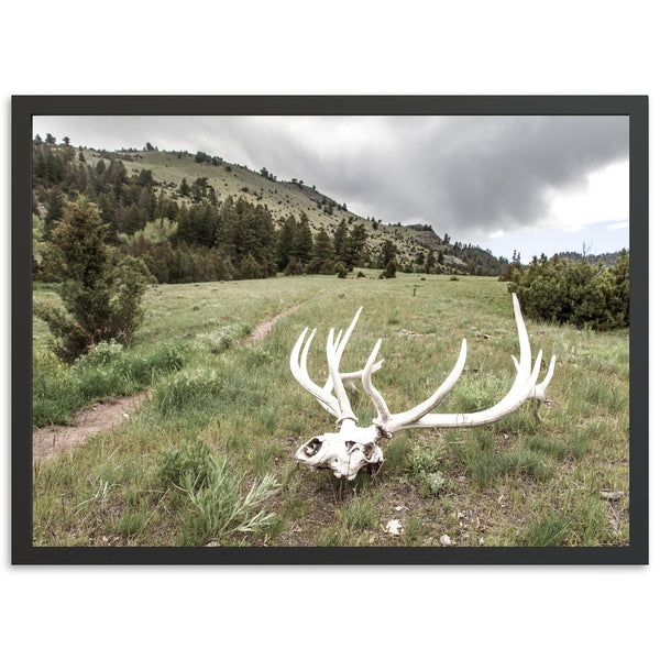 Frontier - Shutter and Frame