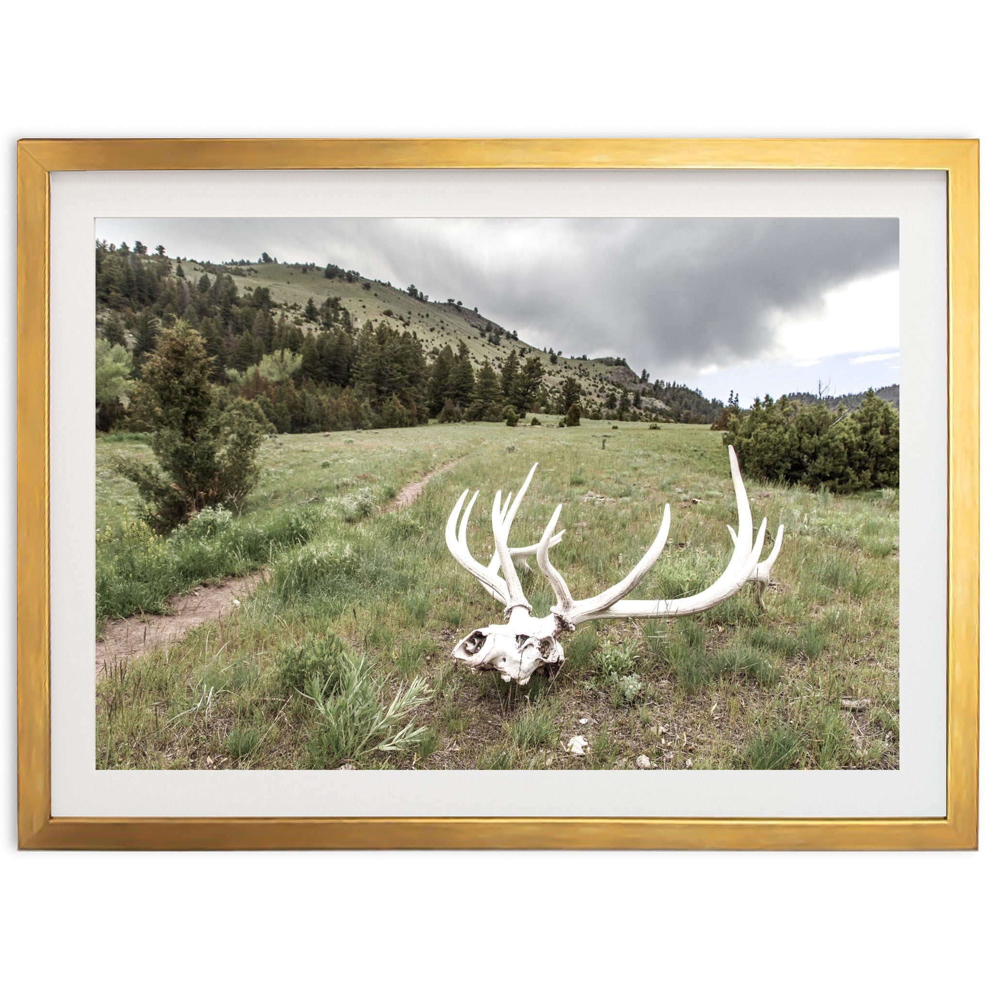 Frontier - Shutter and Frame