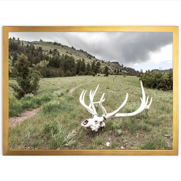 Frontier - Shutter and Frame