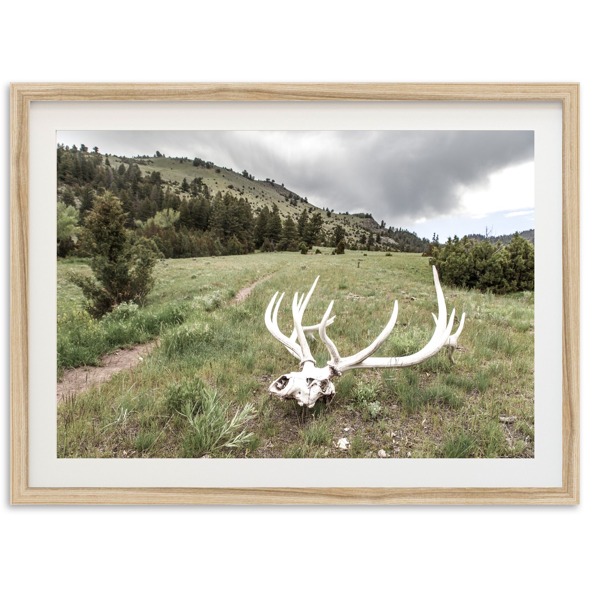 Frontier - Shutter and Frame