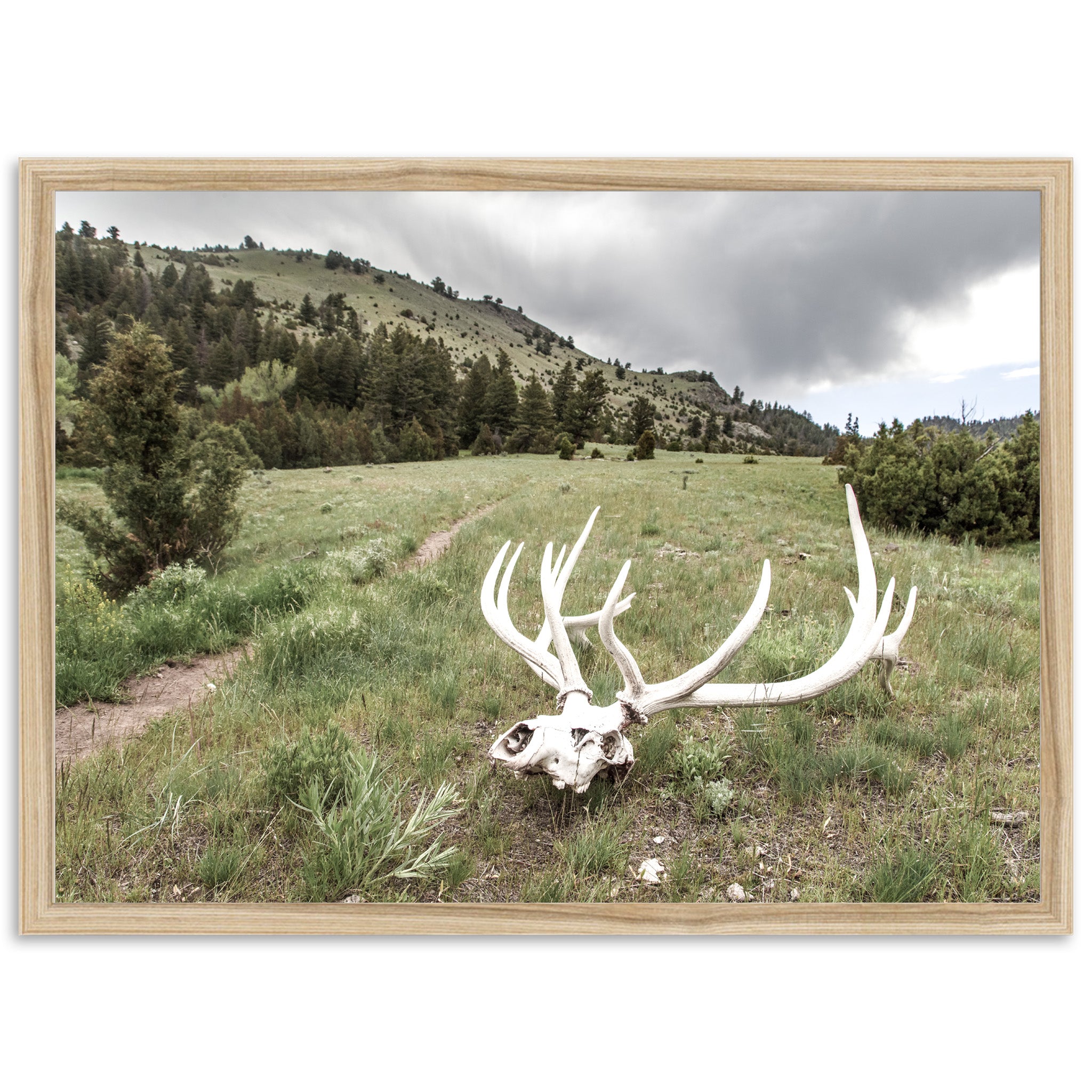 Frontier - Shutter and Frame