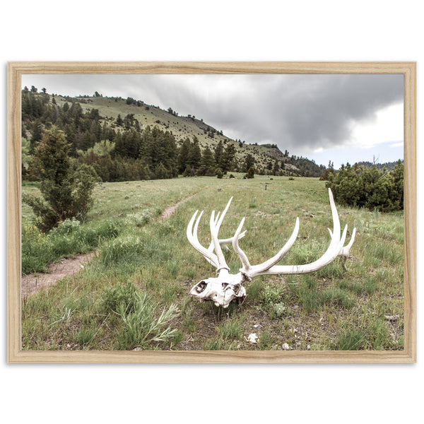 Frontier - Shutter and Frame