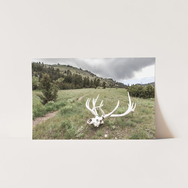 Frontier - Shutter and Frame