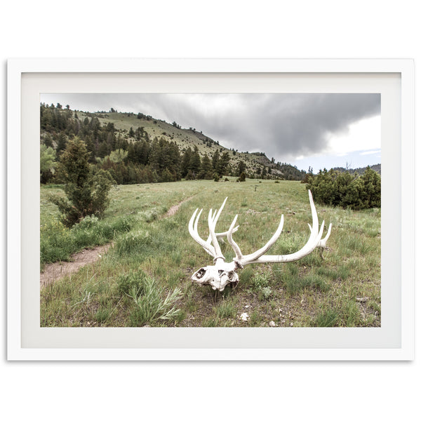 Frontier - Shutter and Frame