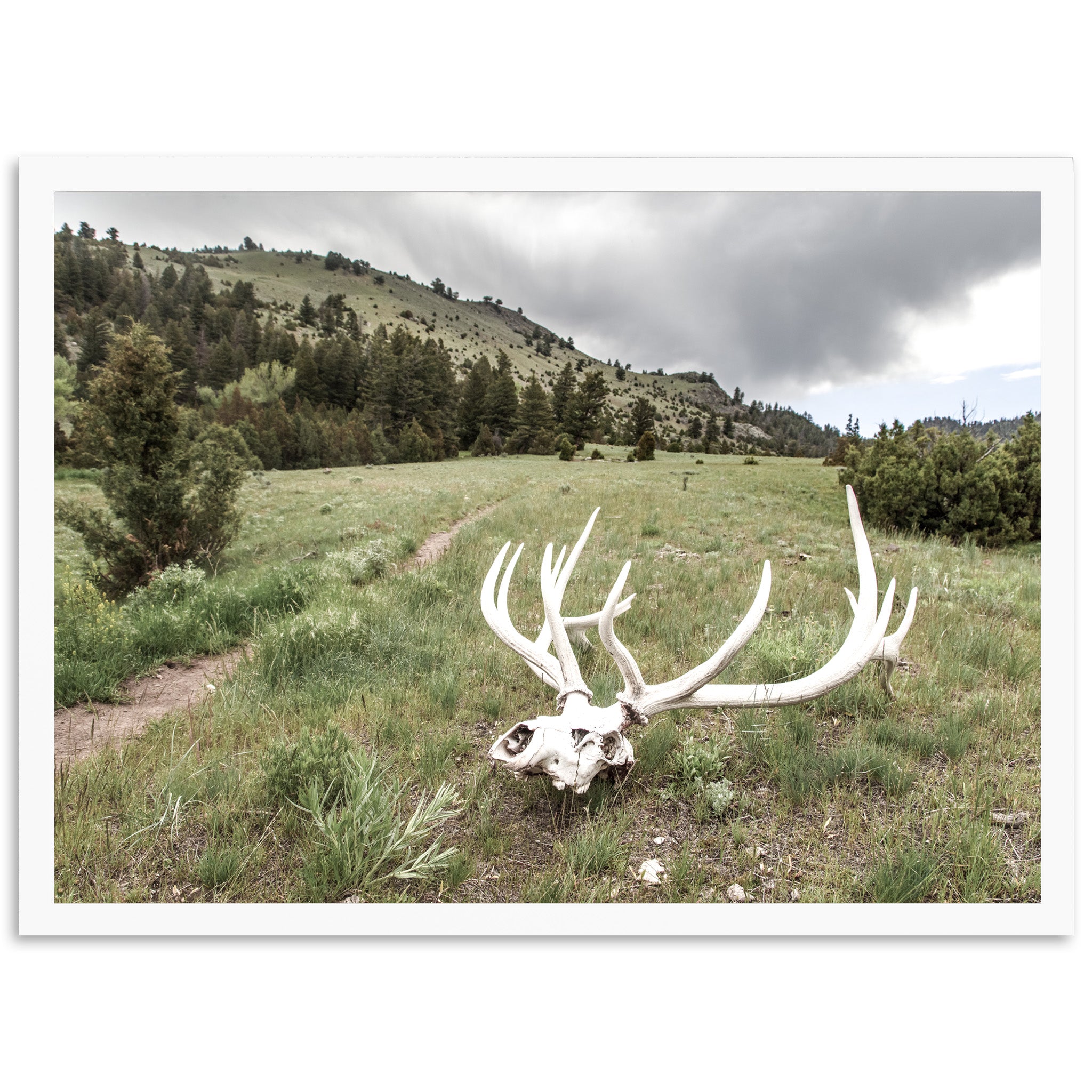 Frontier - Shutter and Frame