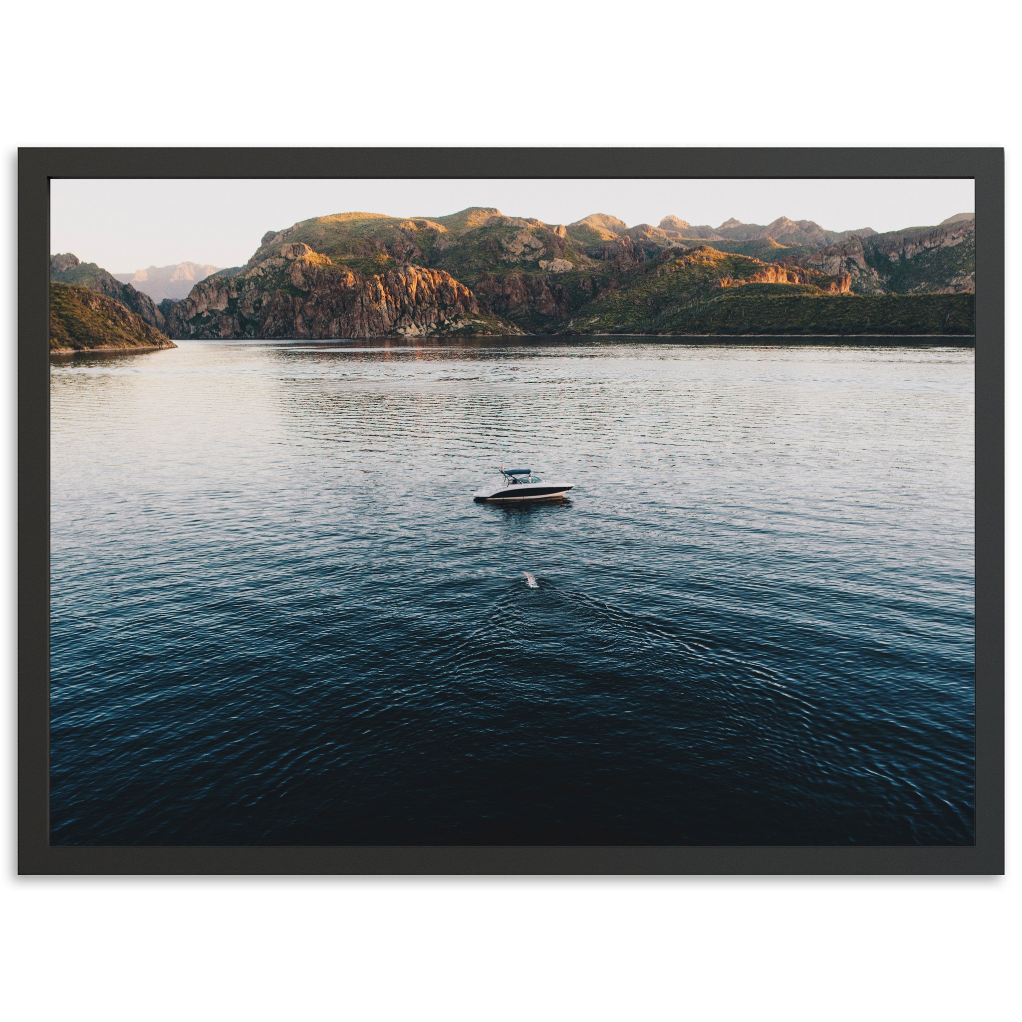 The Swim - Shutter and Frame