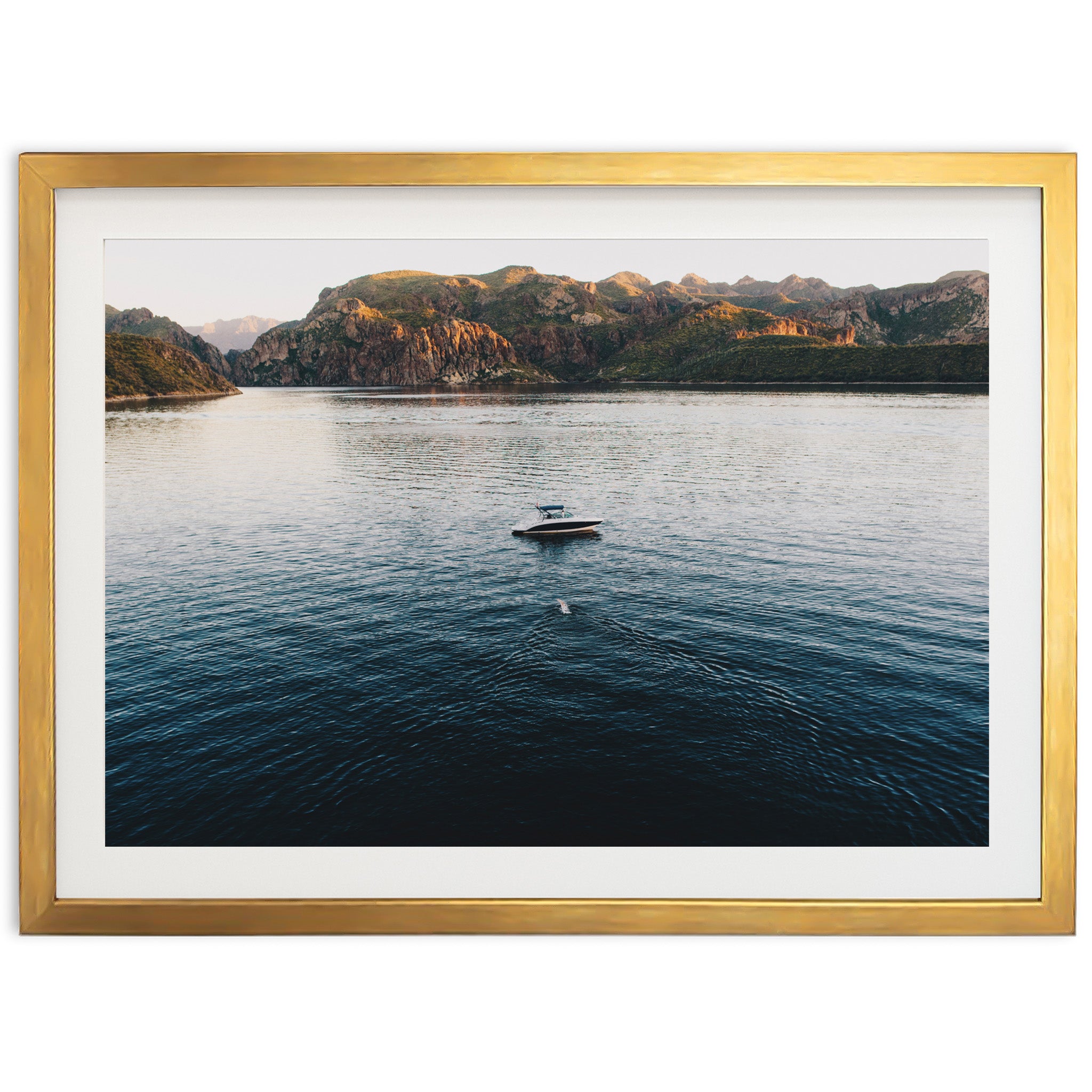 The Swim - Shutter and Frame