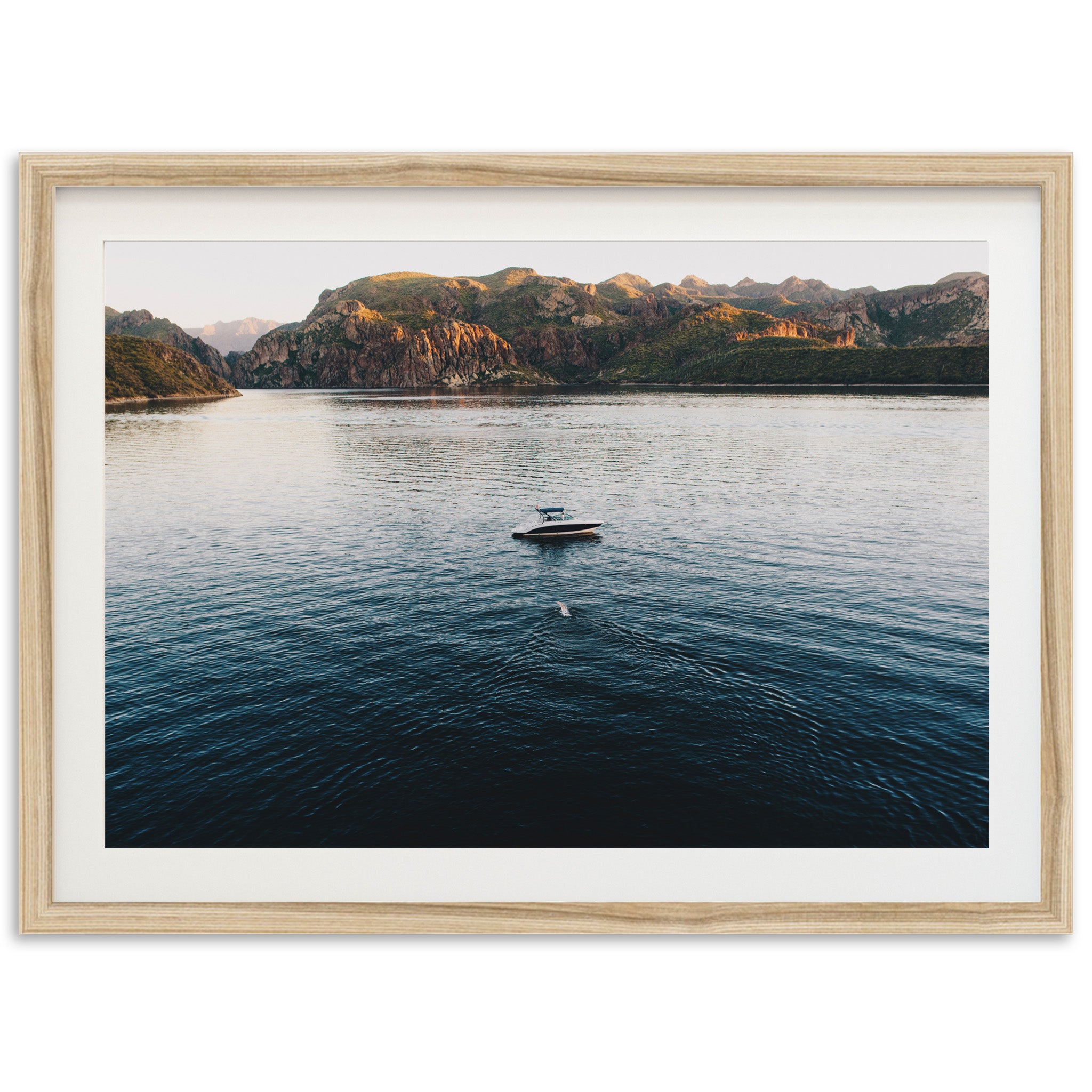 The Swim - Shutter and Frame