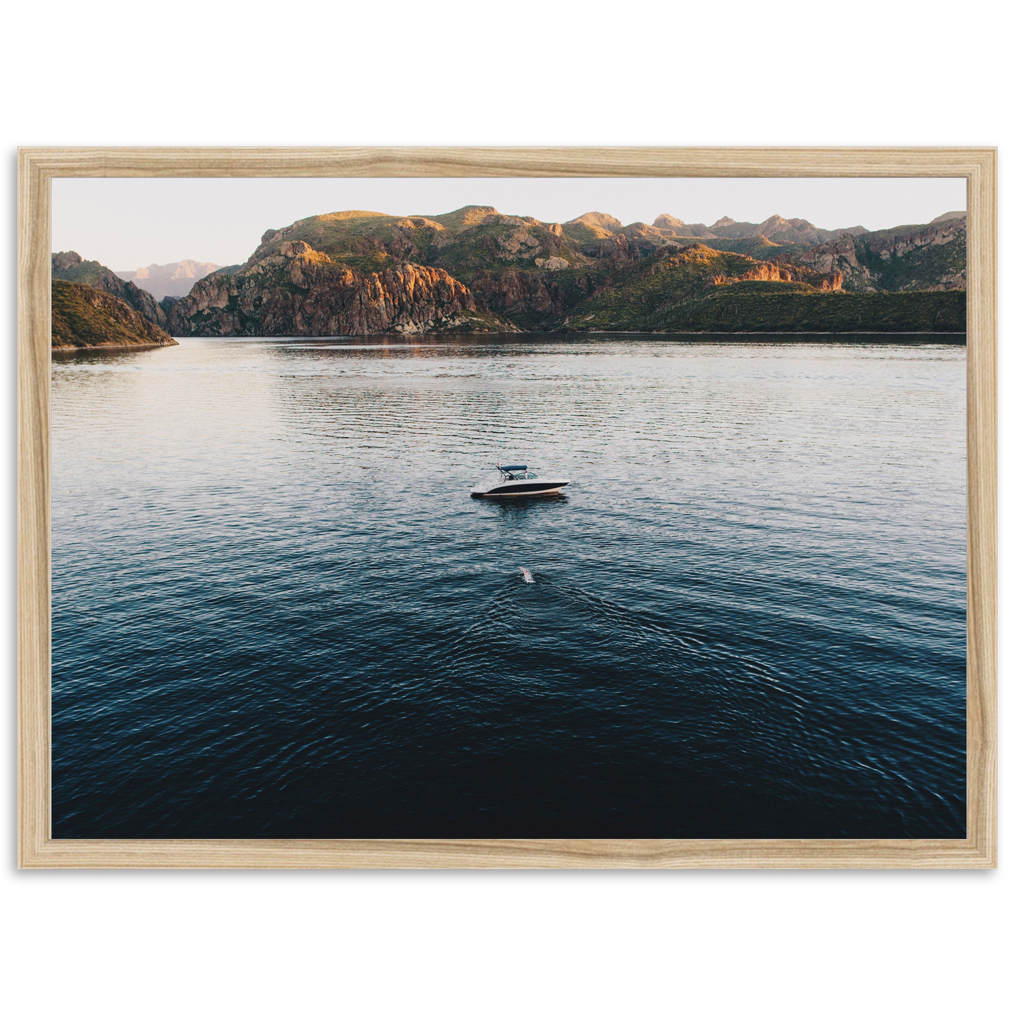 The Swim - Shutter and Frame
