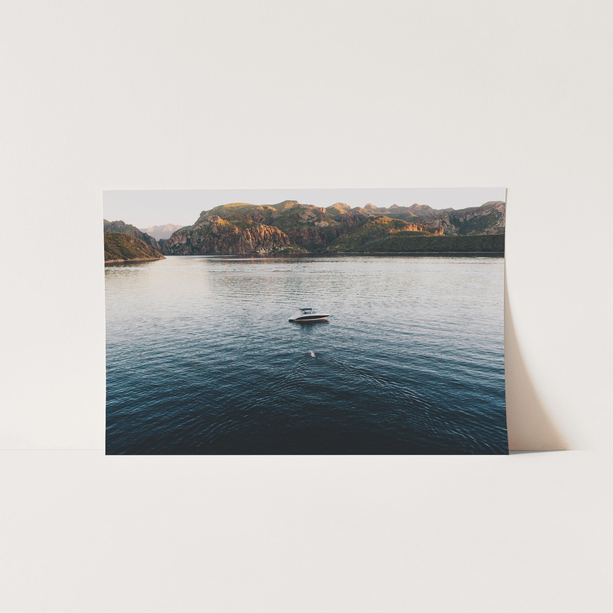 The Swim - Shutter and Frame