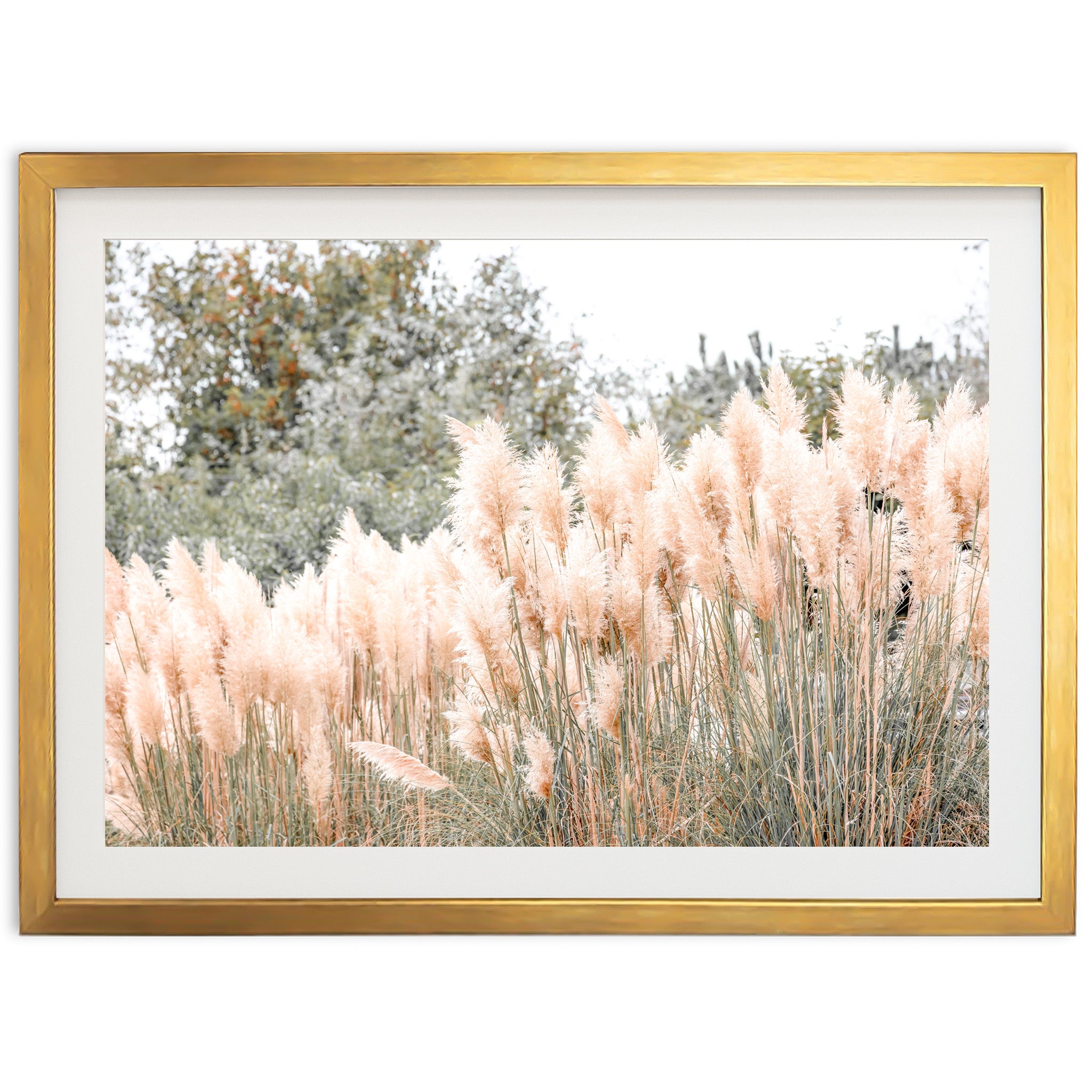 Coastal Grass - Shutter and Frame