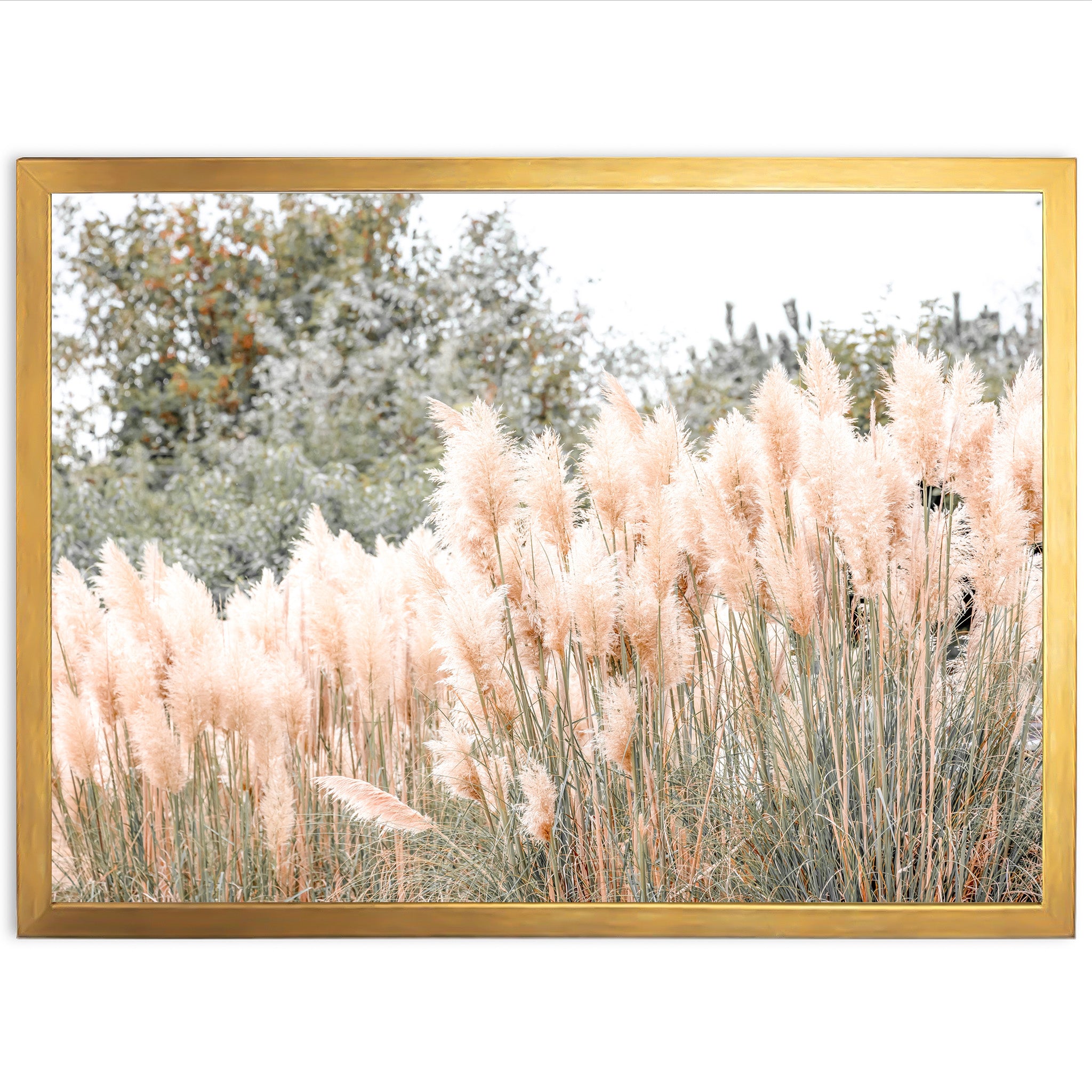 Coastal Grass - Shutter and Frame